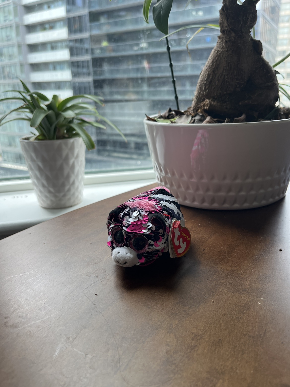 Zoey - Teeny Ty’s Collectible