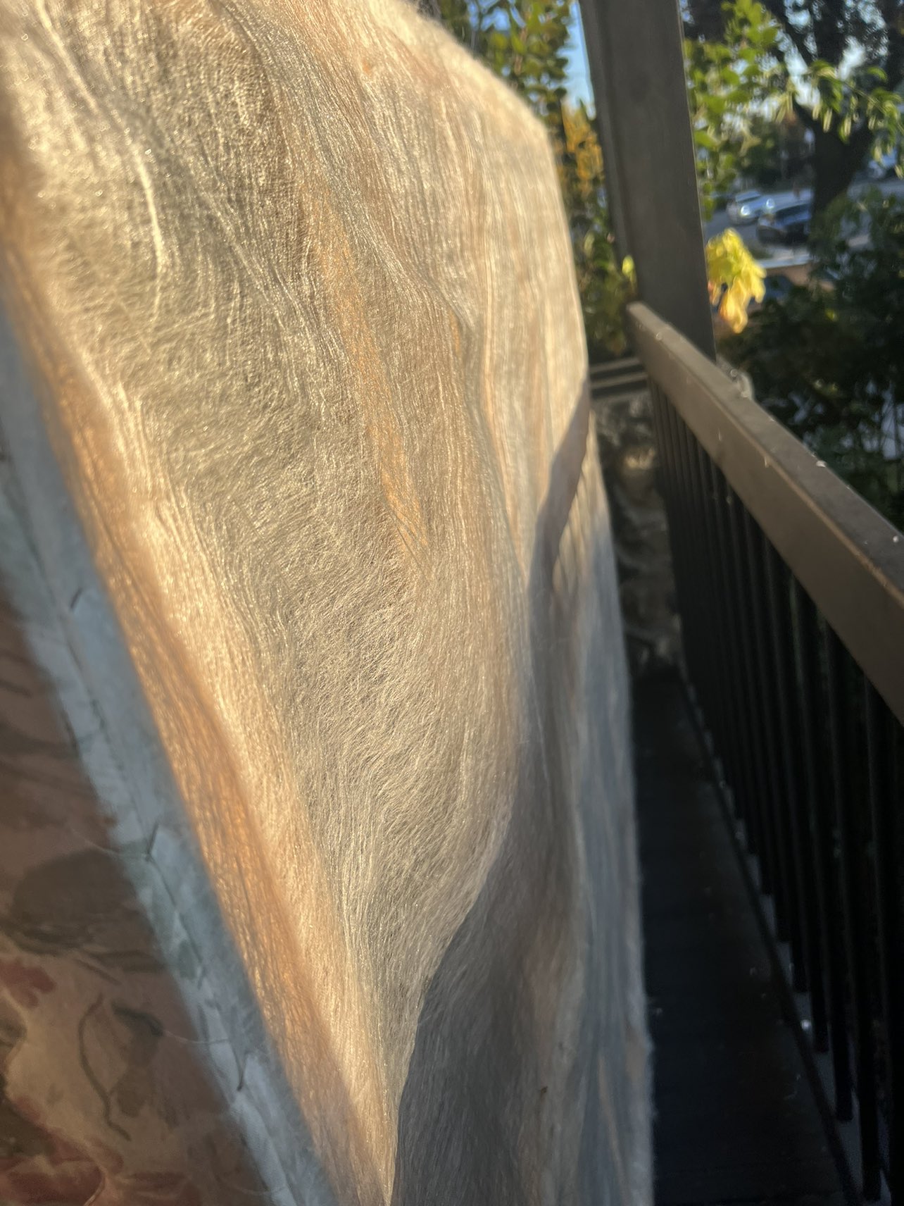 Free Double Mattress & Box Spring - photo 5