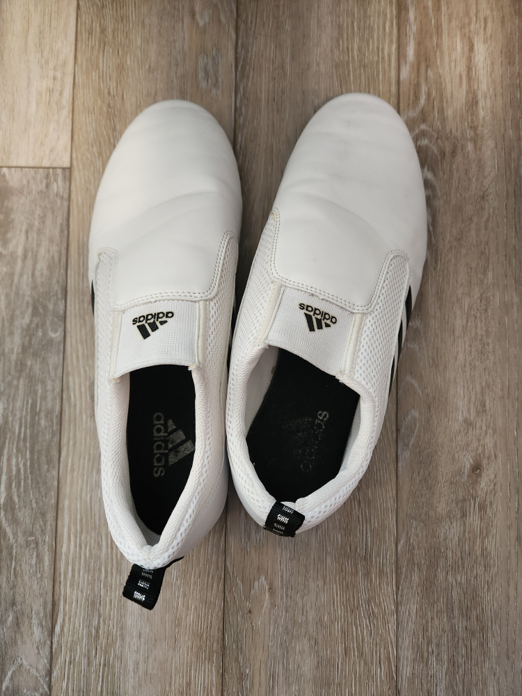 Taekwondo shoes
