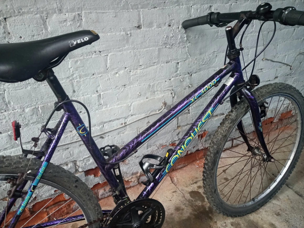 Mountain Bike $55 thumbnail