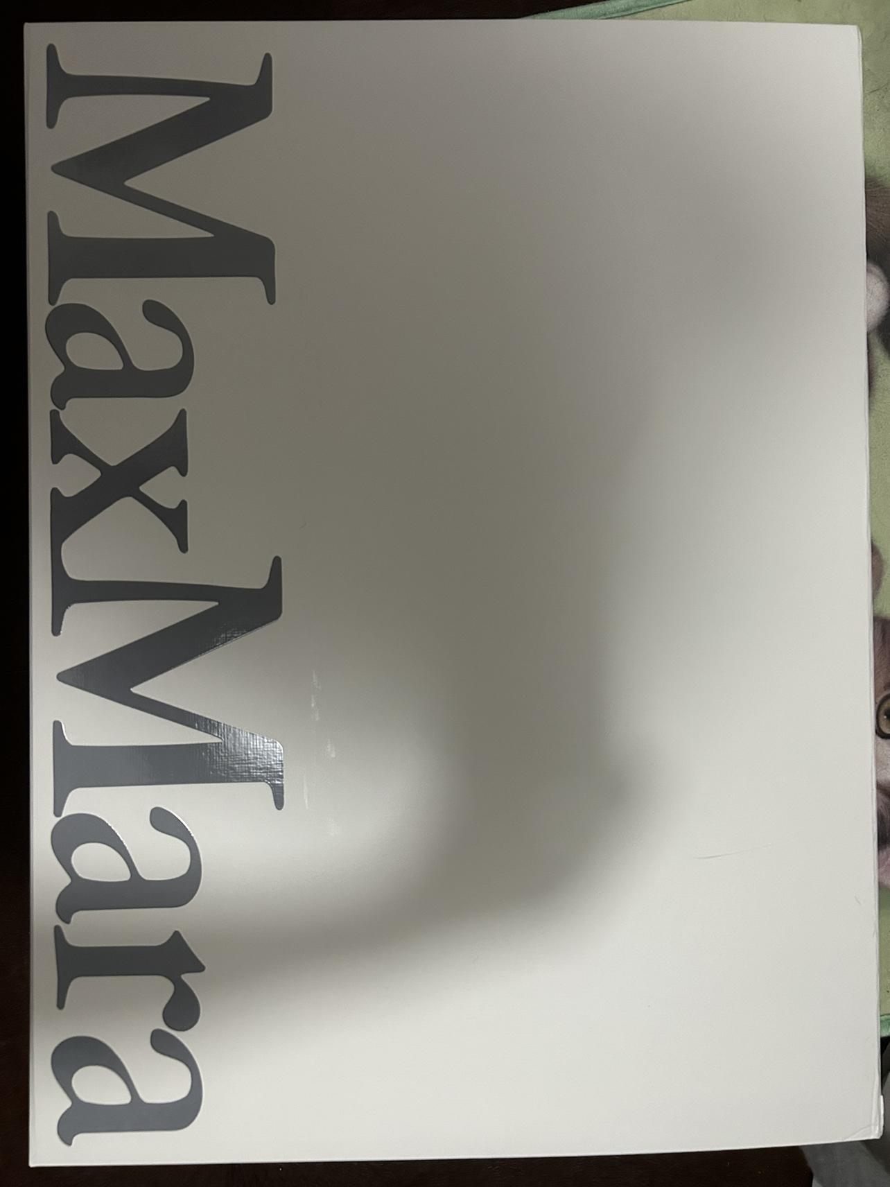 Max Mara bag image indicator(7)