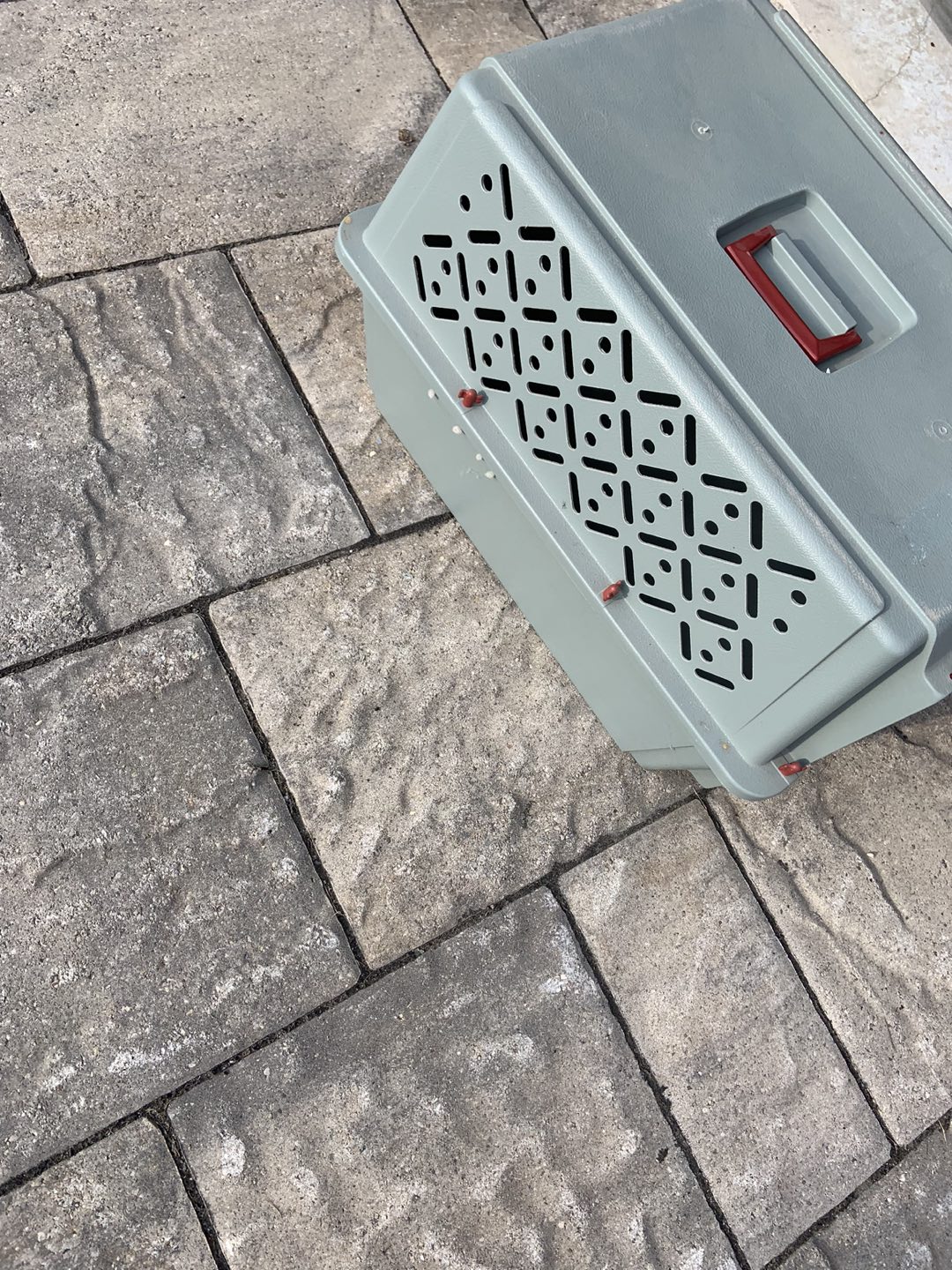 Pet carrier- like new. image indicator(3)