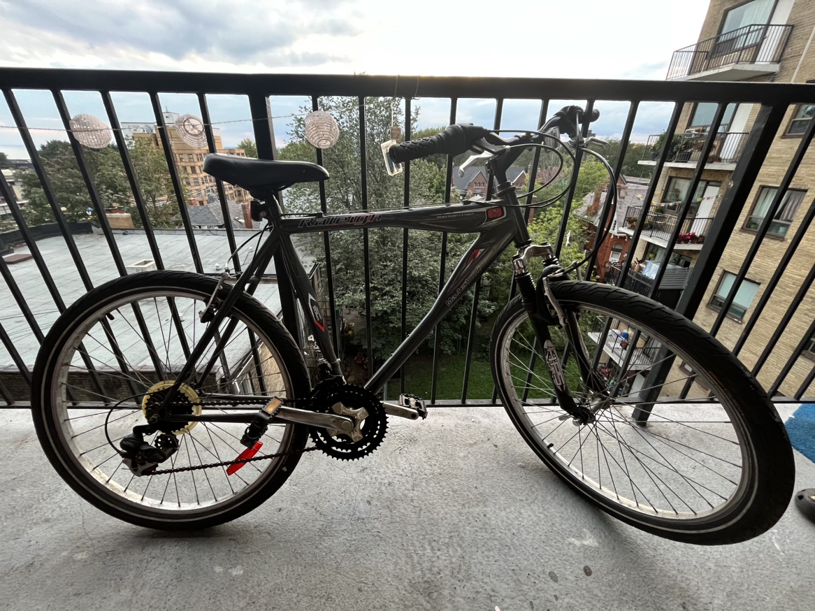 Rayleigh Bike for anyone 5’11”- 6’2” image indicator(5)