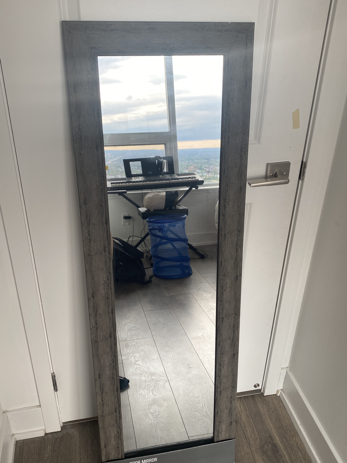 Full Body Mirror image indicator(3)