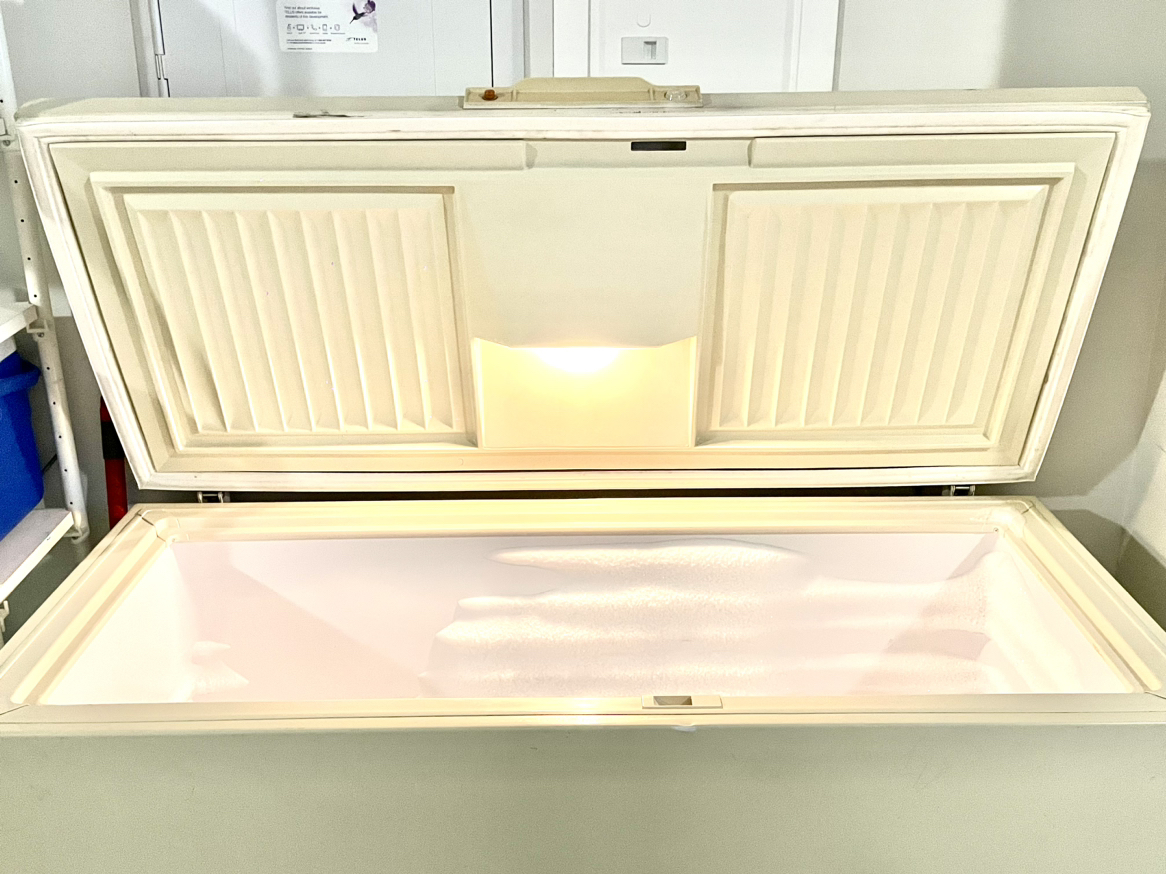 Large Chest/Deep Freezer - photo 2