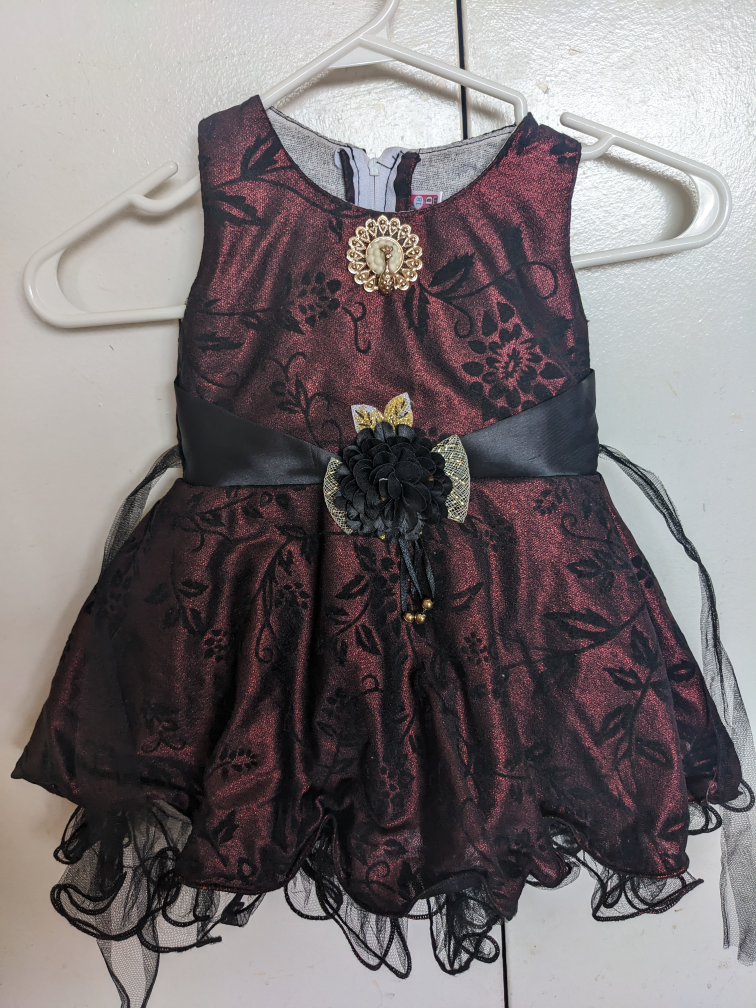 # freecycle Baby Girl dress thumbnail