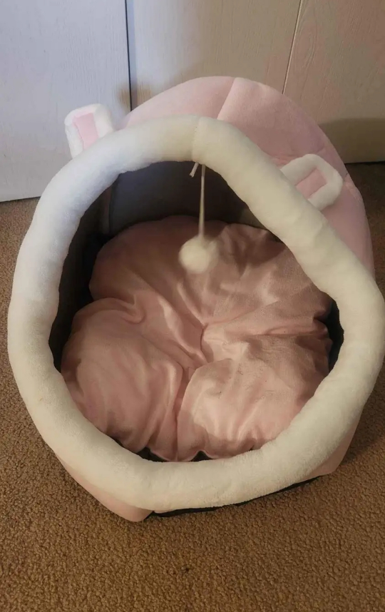 cat bed