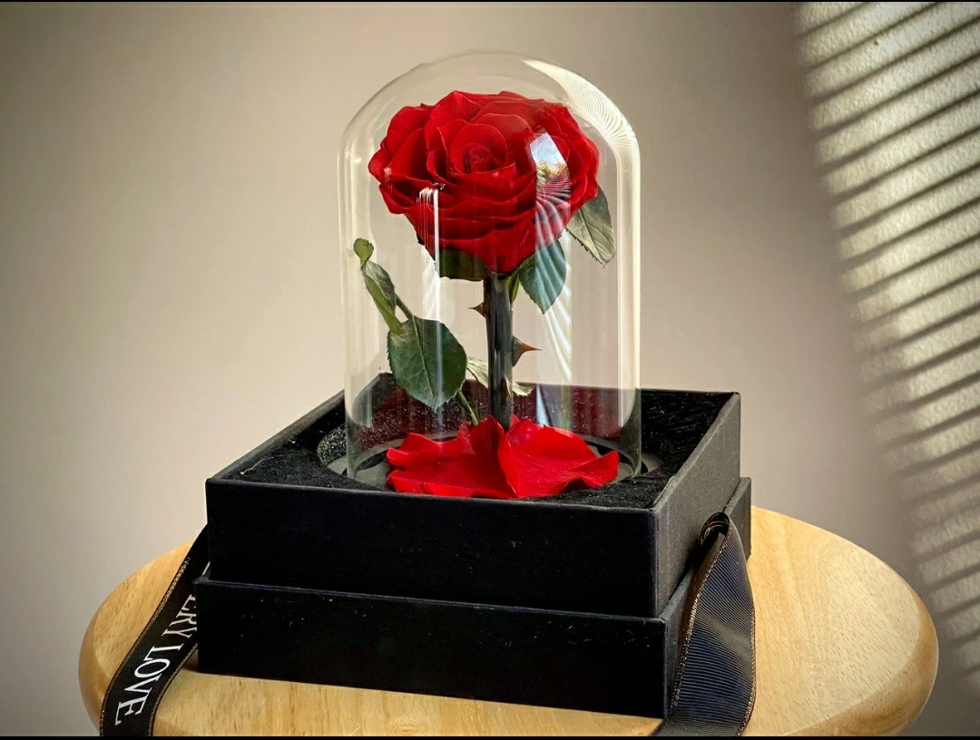 preserved rose