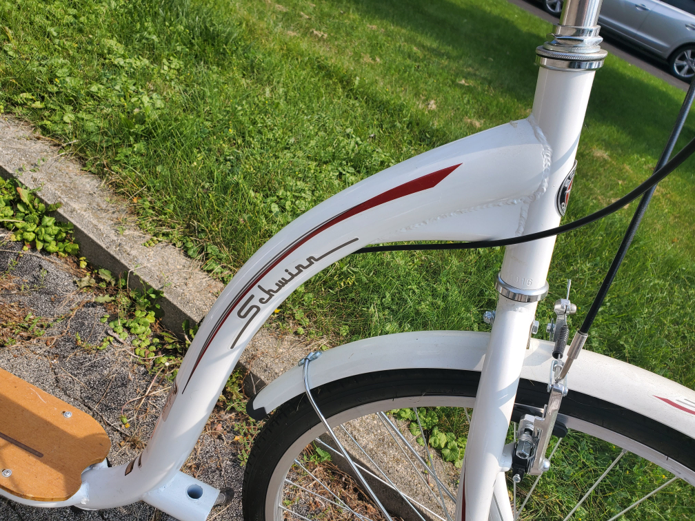 Schwinn bike scooter image indicator(3)