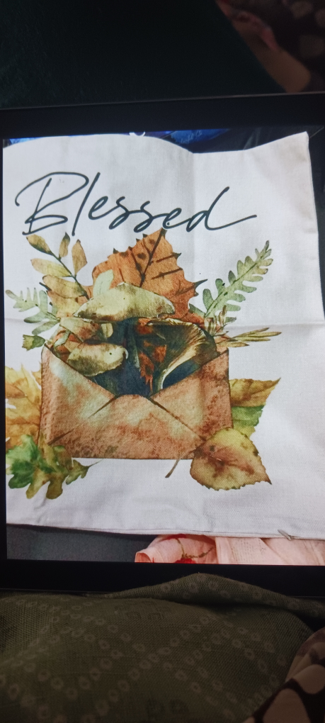 brand New fall throw pillow cover image indicator(2)