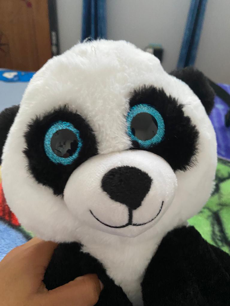 Panda 🐼 bear ❄️