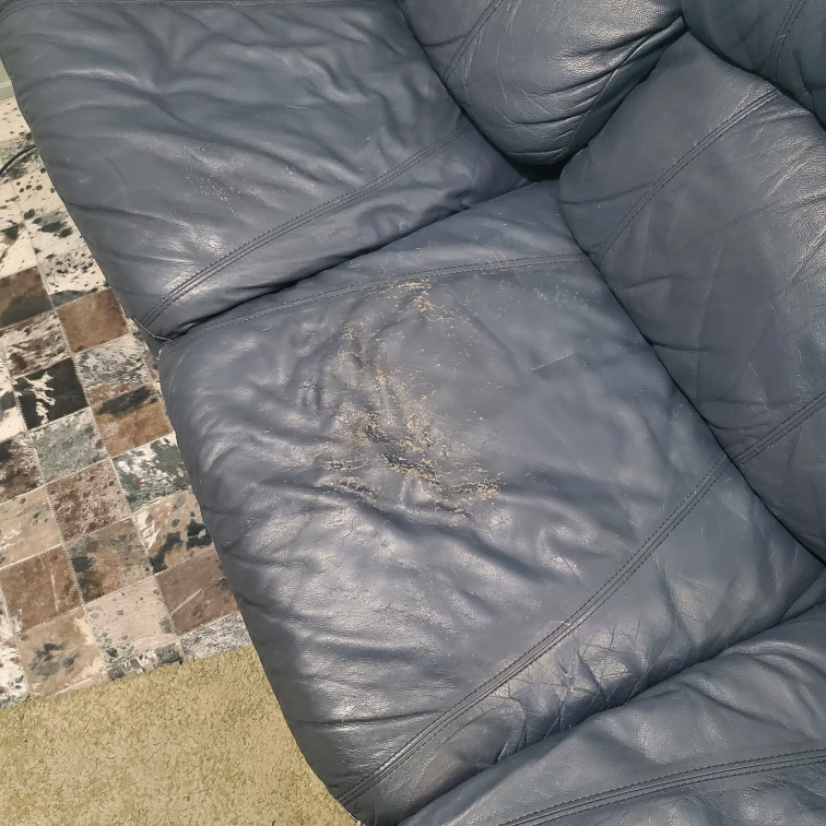 *Free-Blue Leather Couch-Free* out by Monday - photo 3