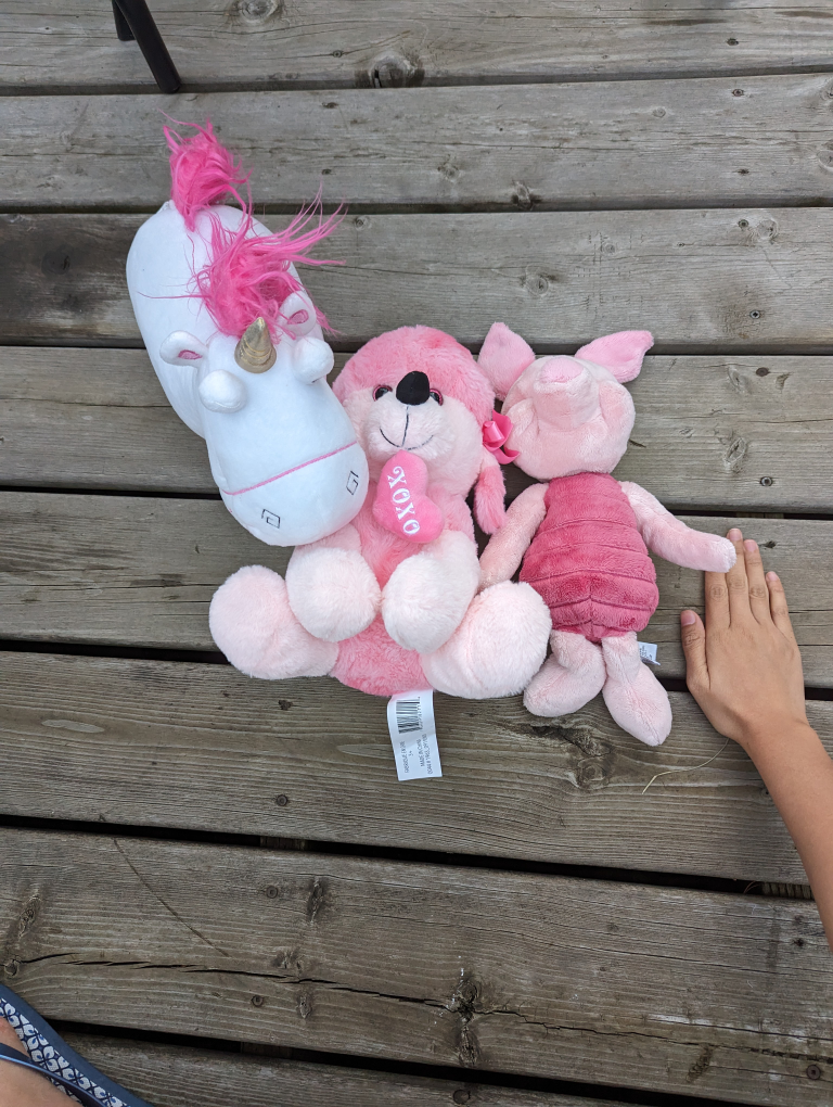 3 Disneyland Stuffed Toys (Despicable Me, Piglet and Pink dog) - photo 2