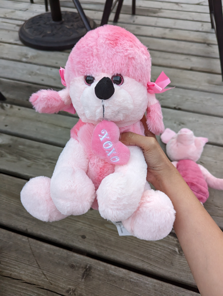 3 Disneyland Stuffed Toys (Despicable Me, Piglet and Pink dog) - photo 4
