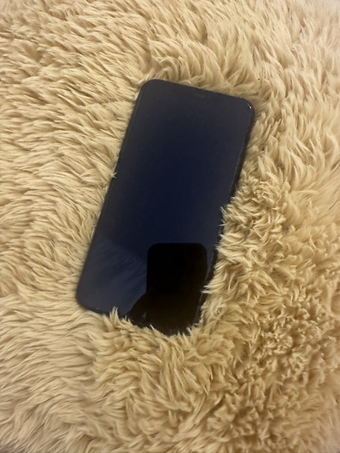 Iphone 11 Pro Max image indicator(2)