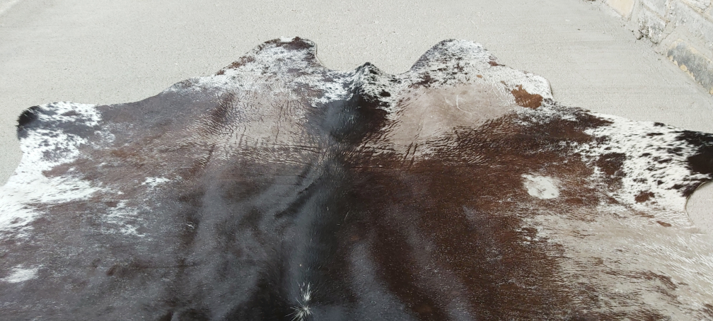 real cowhide rug - photo 4