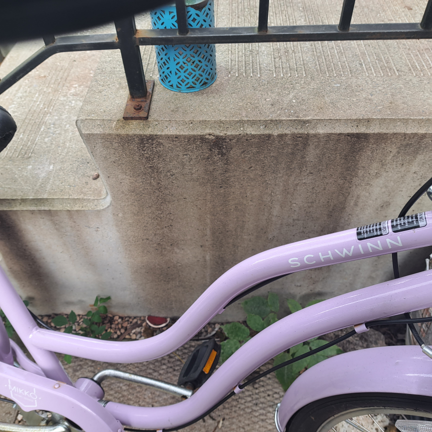 Ladies  schwinn bicycle image indicator(3)