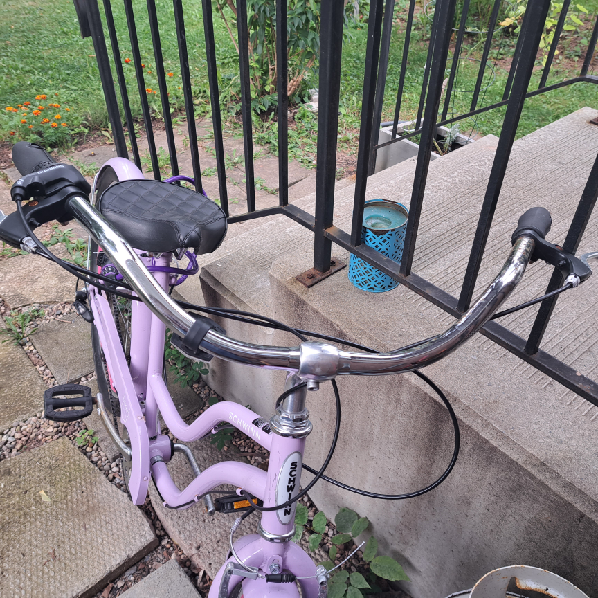 Ladies  schwinn bicycle image indicator(4)