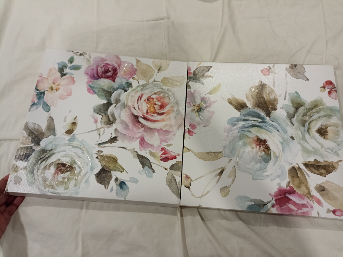 I am selling two beautiful paintings