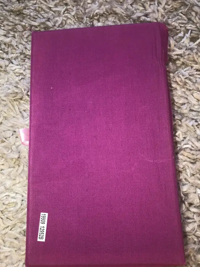 Princess dominoes image indicator(4)