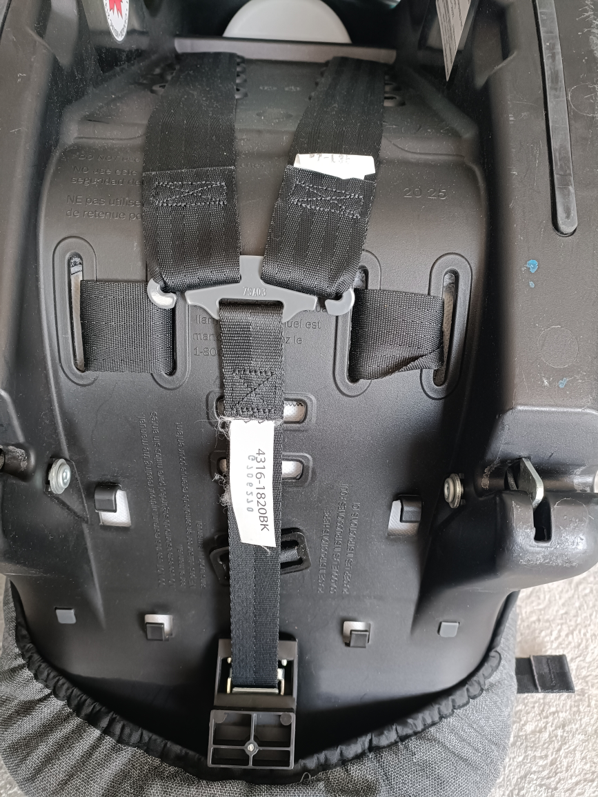 Fun and safe car seats for kids image indicator(4)