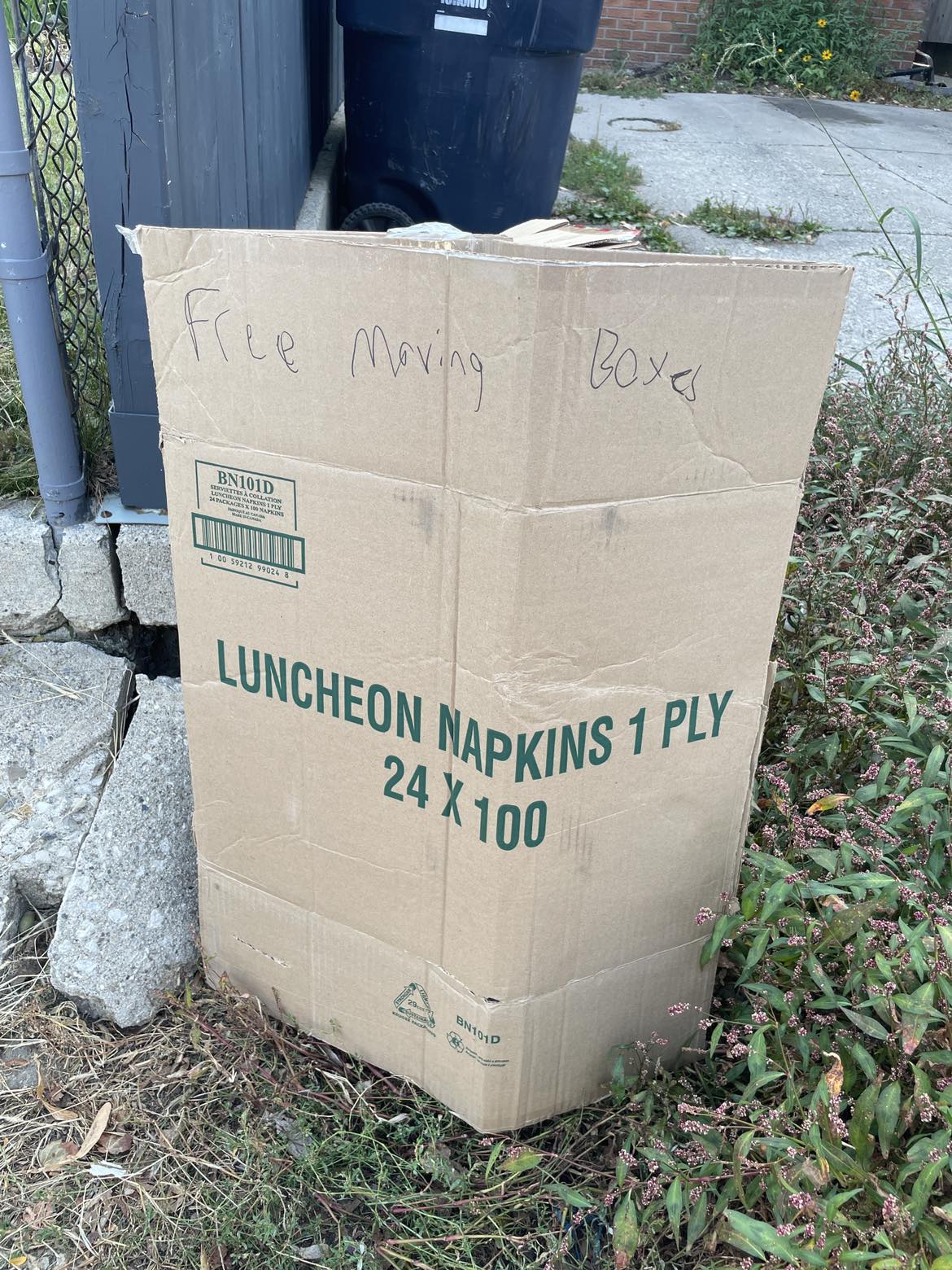 Free moving boxes thumbnail