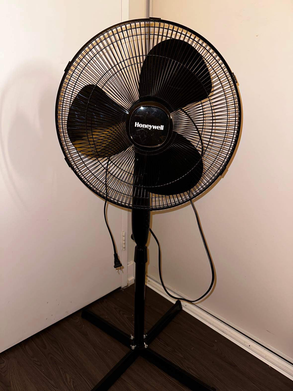 Brand New Fan - photo 3