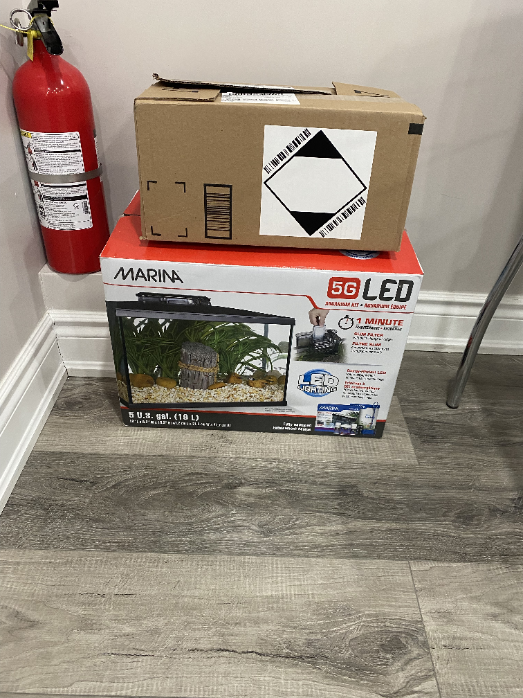 Fish tank- Garage sale - photo 2