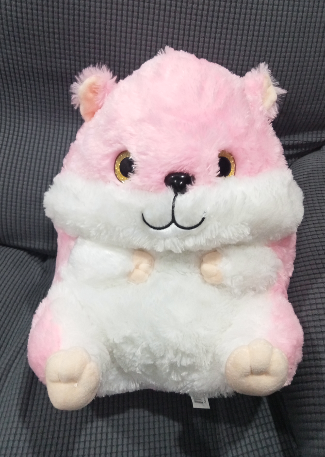 New Teddy Bear stuffed cat