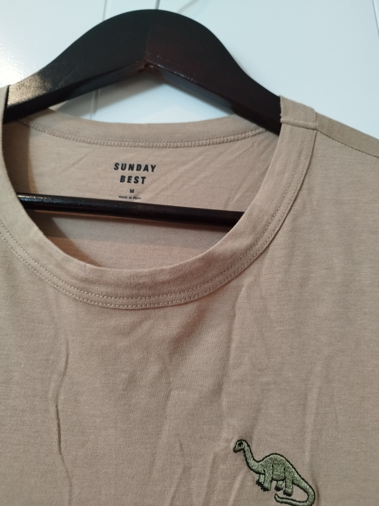 dinosaur to shirt - photo 2