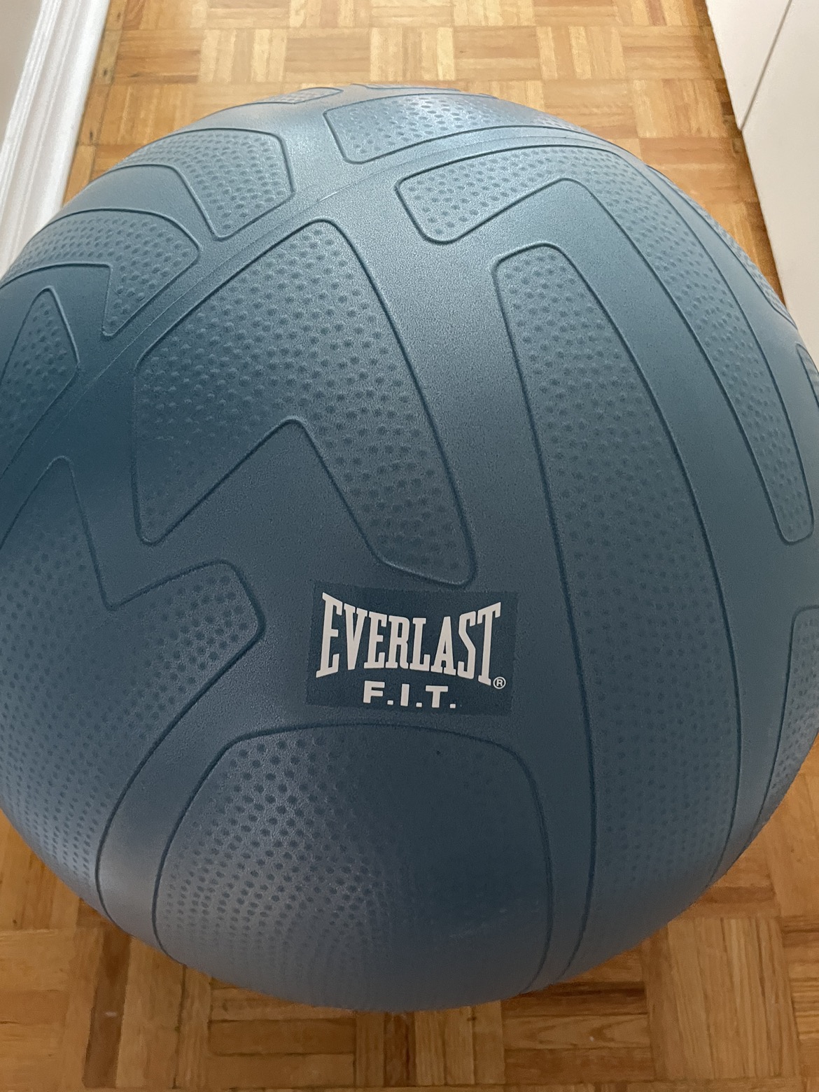 Everlast FIT Pro Grip Fitness Balls - Pump Included thumbnail