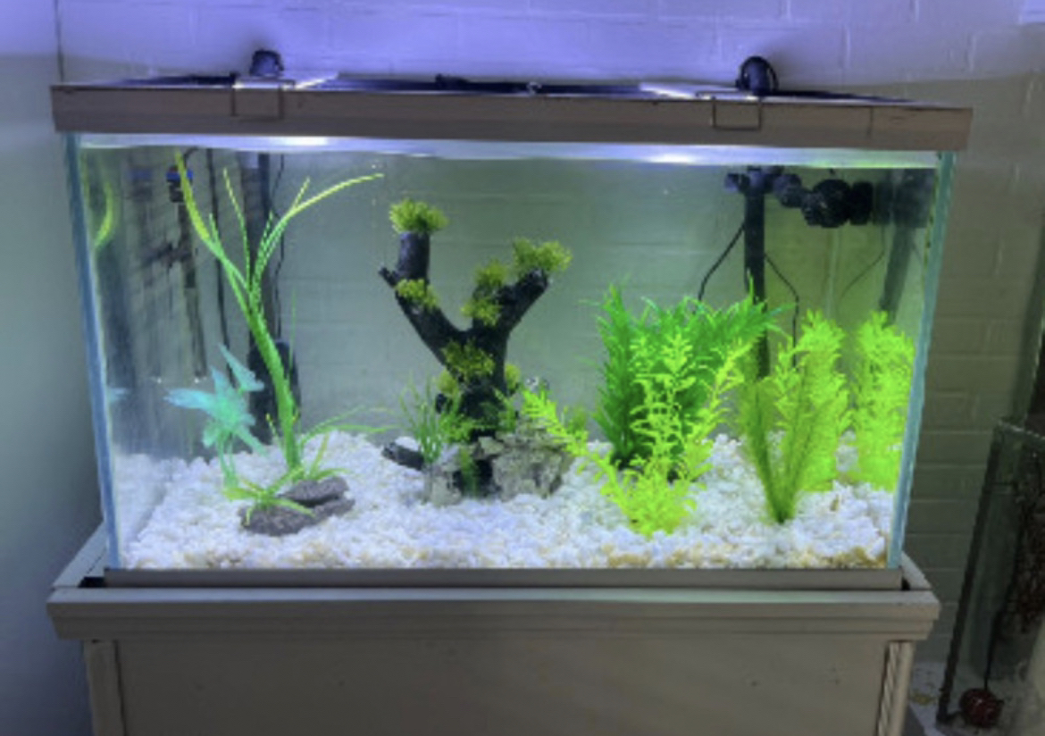 80 Gallon Fish tank with stand thumbnail