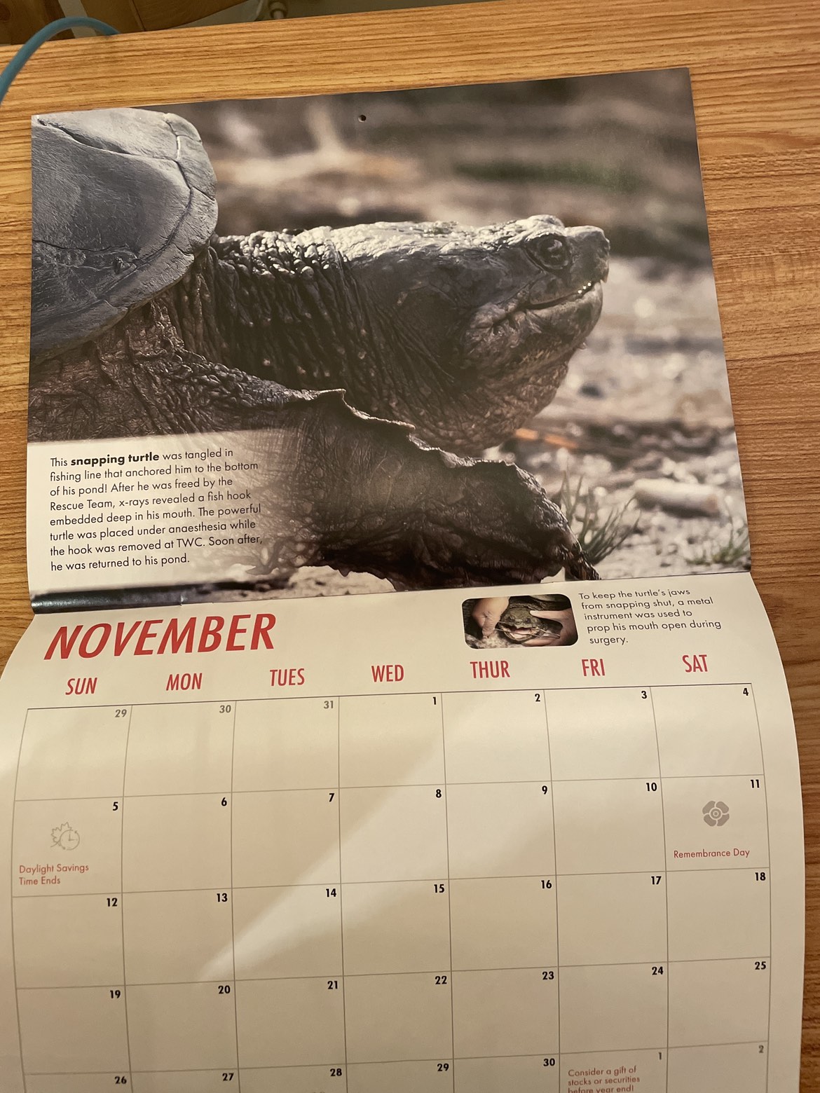 FREE TWC Calendar! image indicator(4)