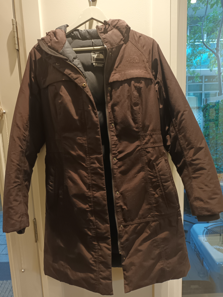 Winter Jacket (The North Face) thumbnail