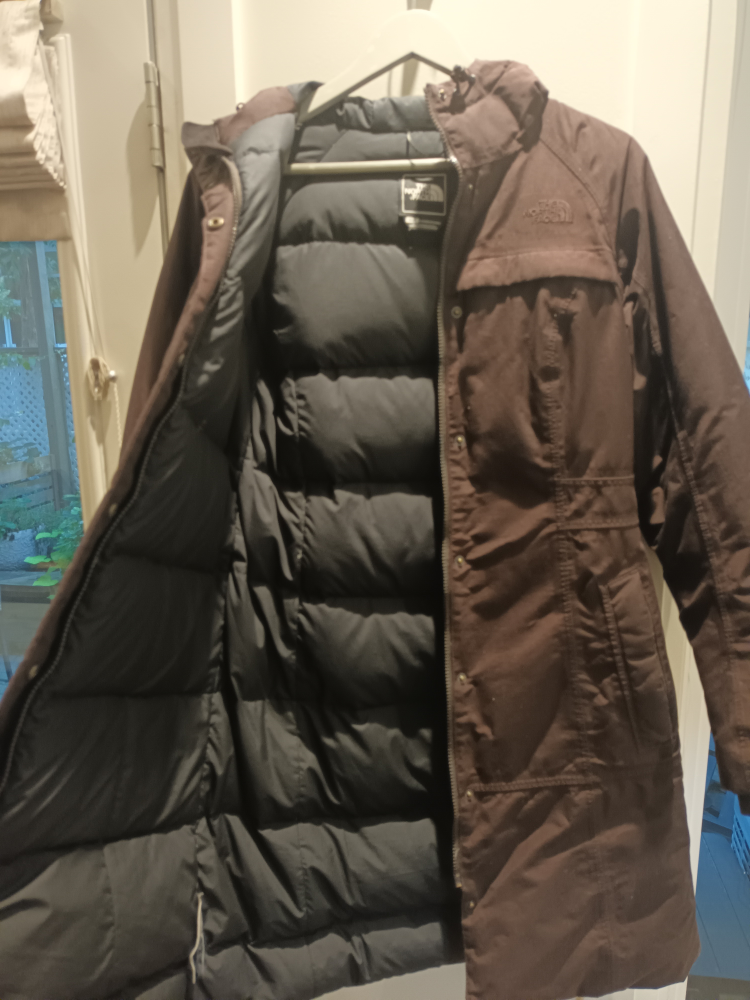 Winter Jacket (The North Face) image indicator(2)