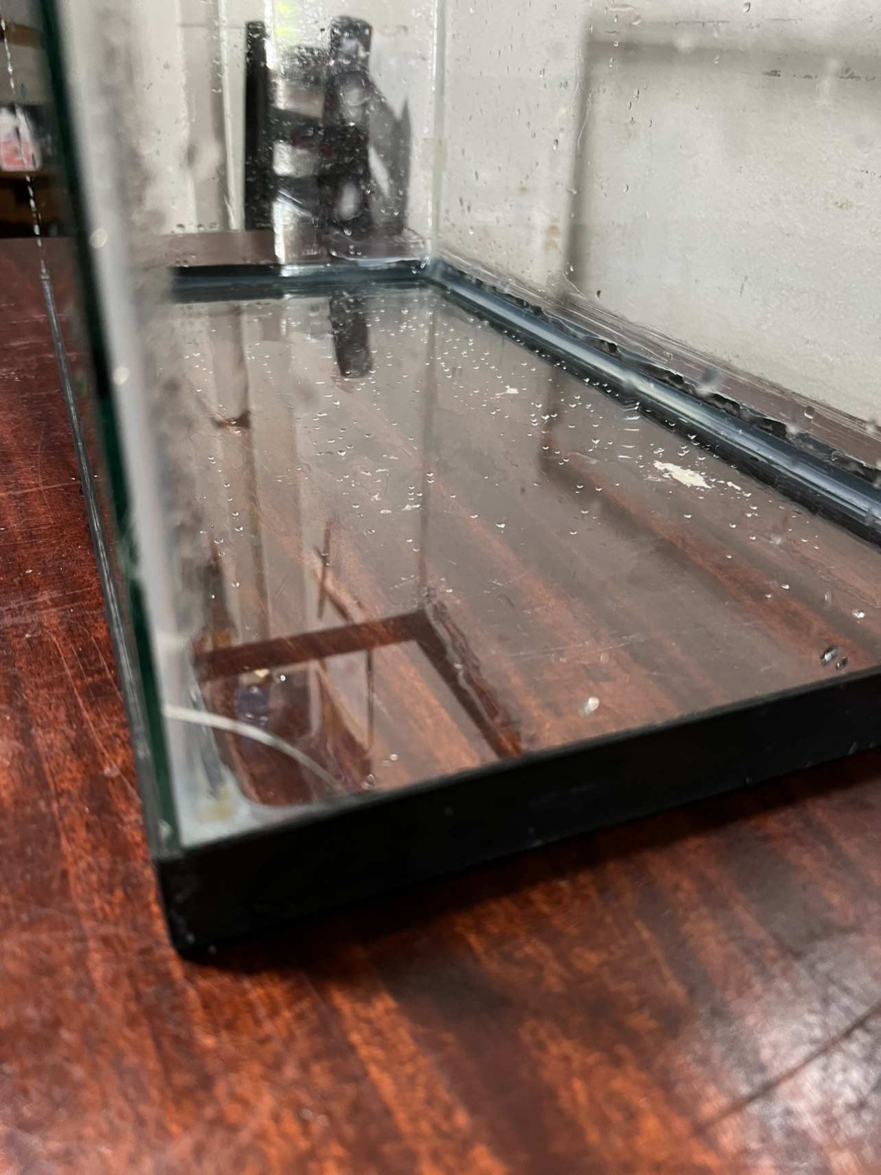 10 gallon tank - photo 3