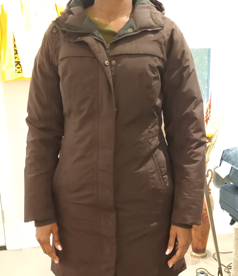 Winter Jacket (The North Face) image indicator(5)