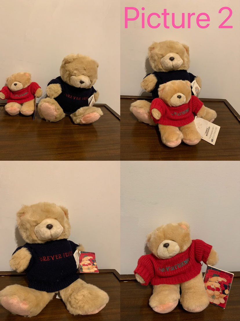 Brand New Forever Friends (Hallmark Cards)Teddy Bear/ plush image indicator(2)