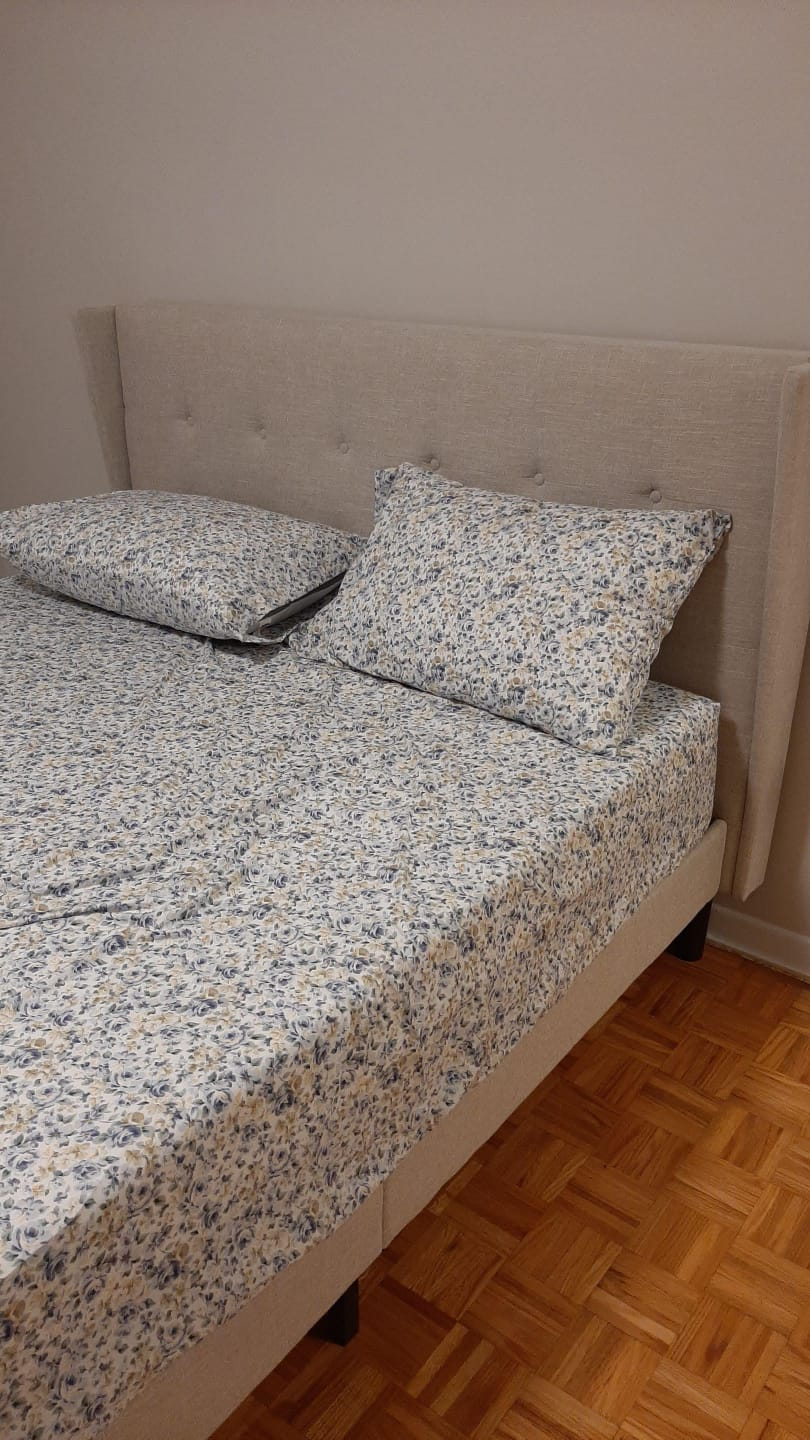 Queen bed frame and mattress