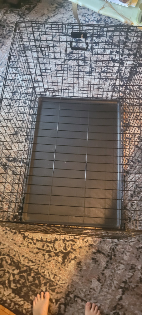 Large Metal Dog Crate 41in by 28in, Single Door, Foldable image indicator(2)