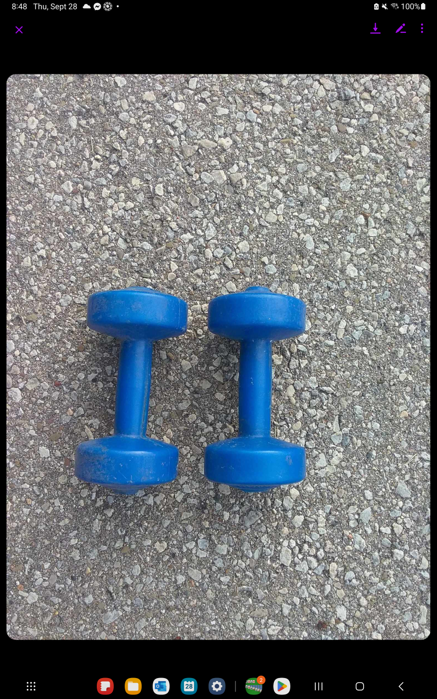 2.5 and 5 pound dumbbells
