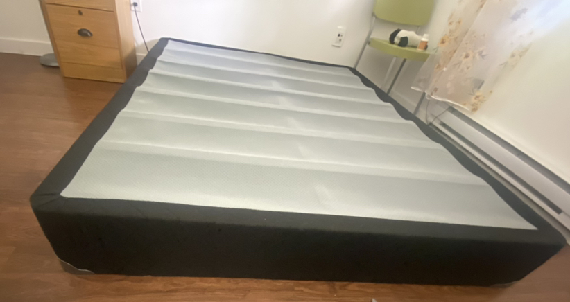 Queen Mattress and Spring Box - photo 3
