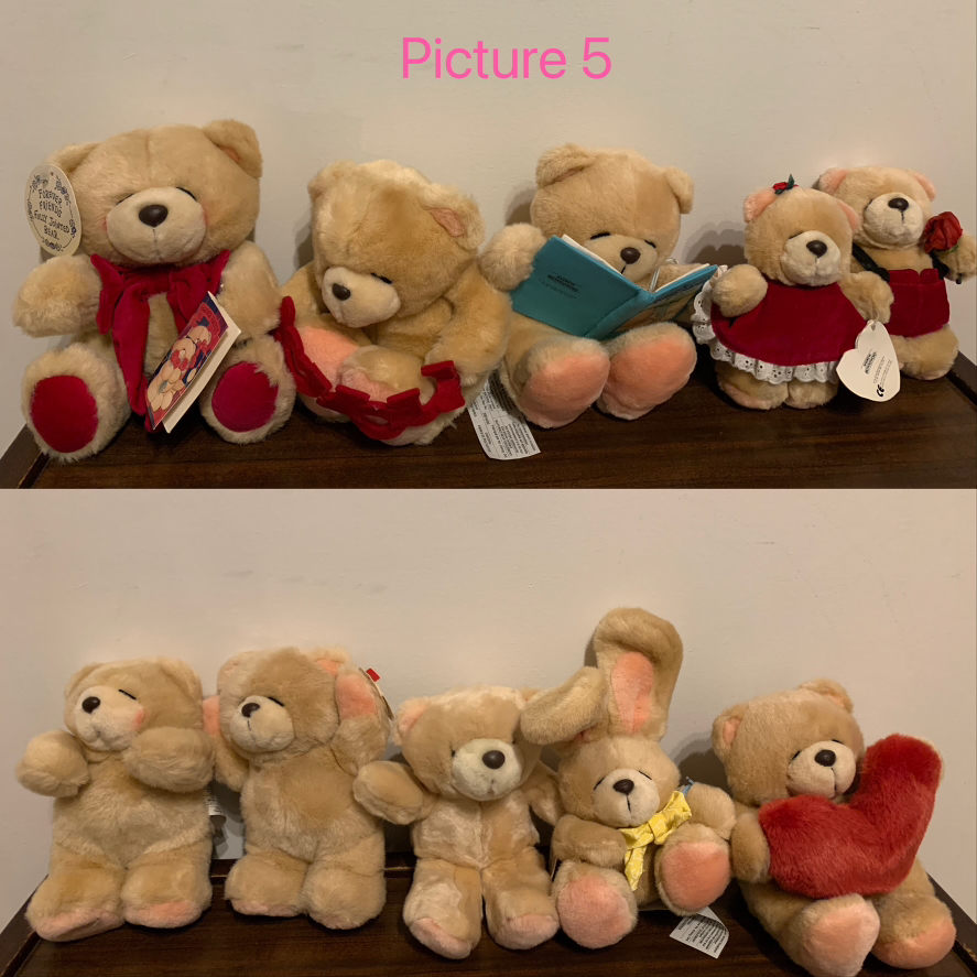Brand New Forever Friends (Hallmark Cards)Teddy Bear/ plush image indicator(5)