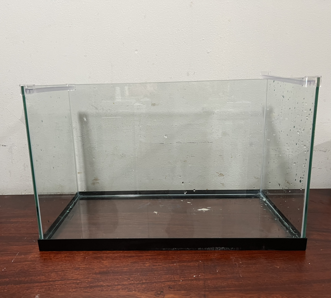 10 gallon rimless tank
