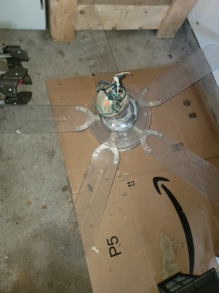 fan