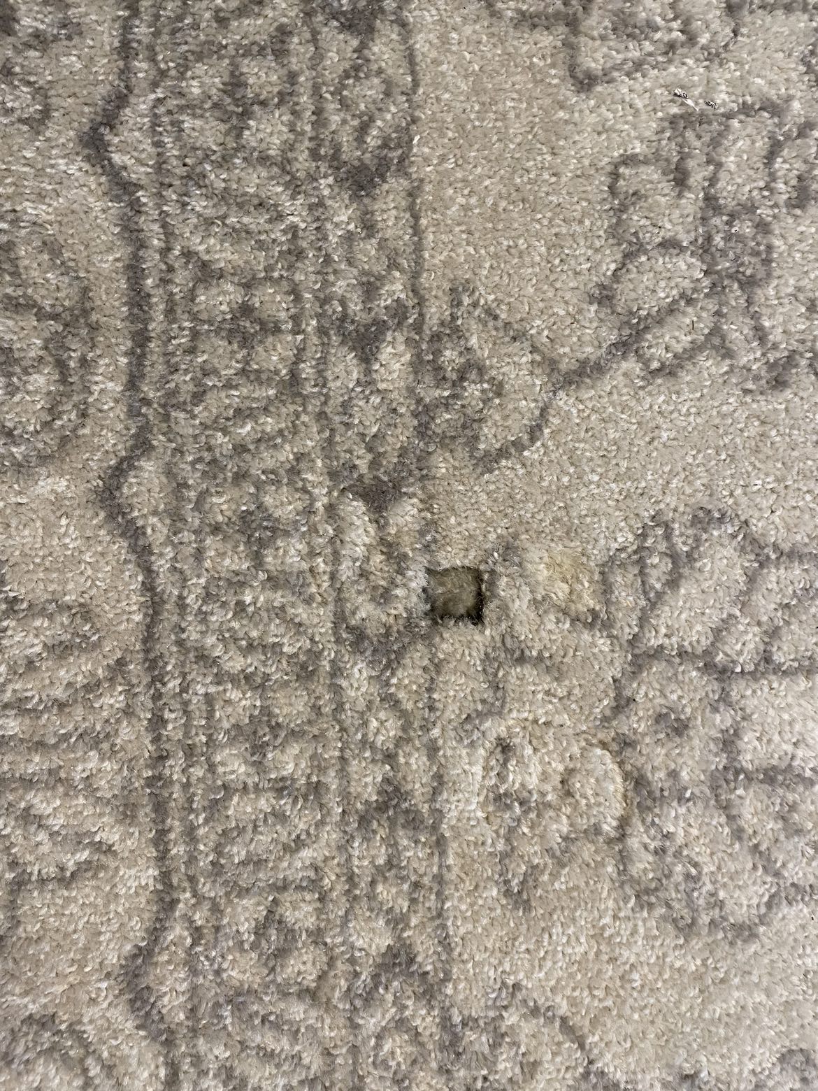 Safavieh Rug 8’x10’ - photo 4