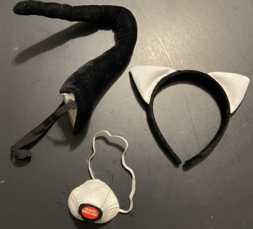 Cat Accessory Kit