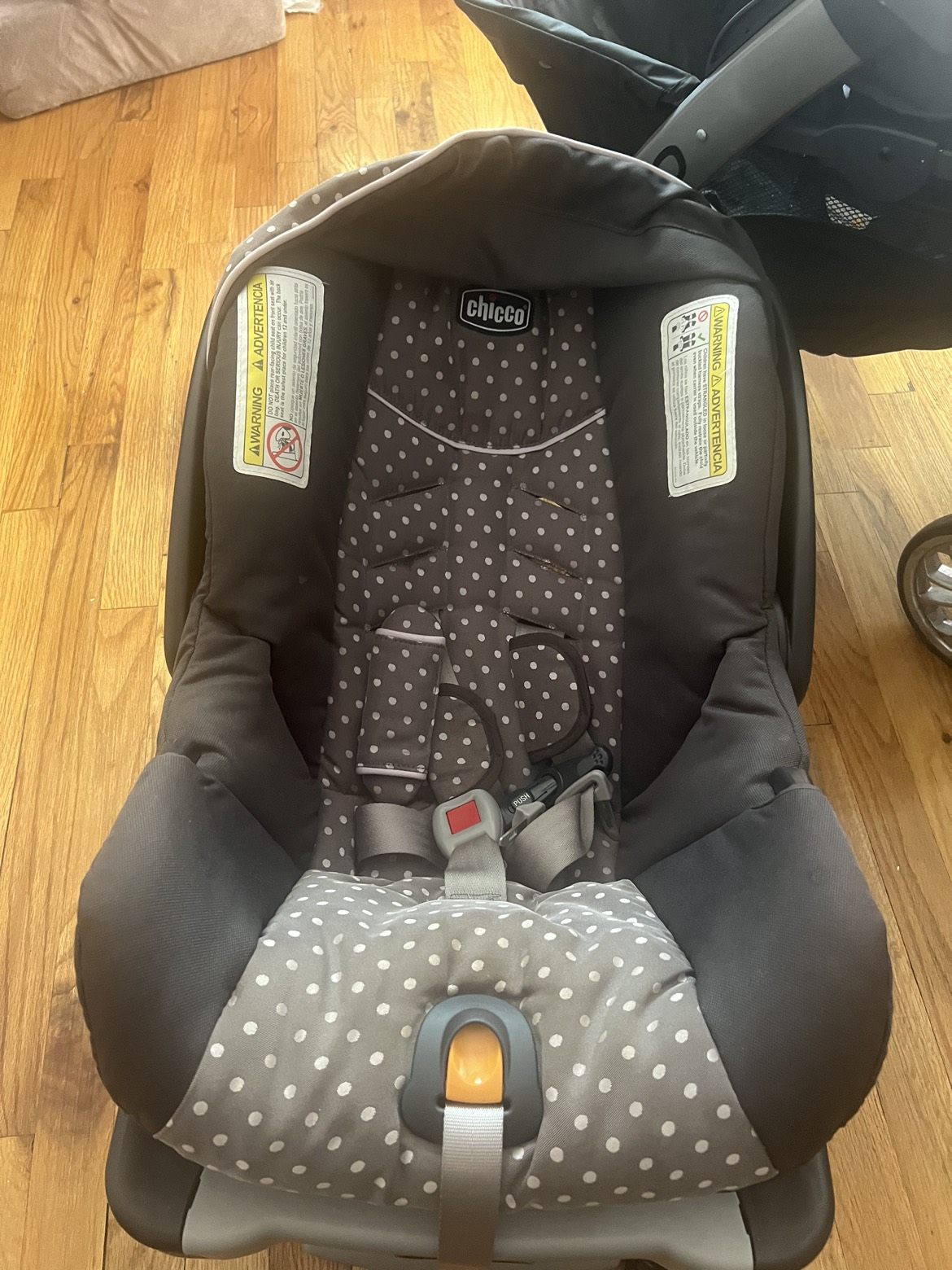 Stroller with car seat and many accessories - photo 3
