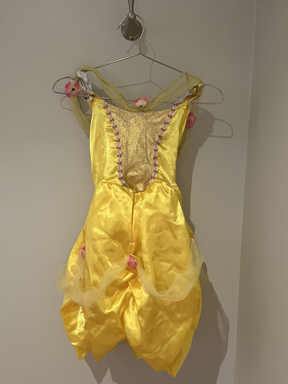 Halloween Costumes girl (small)