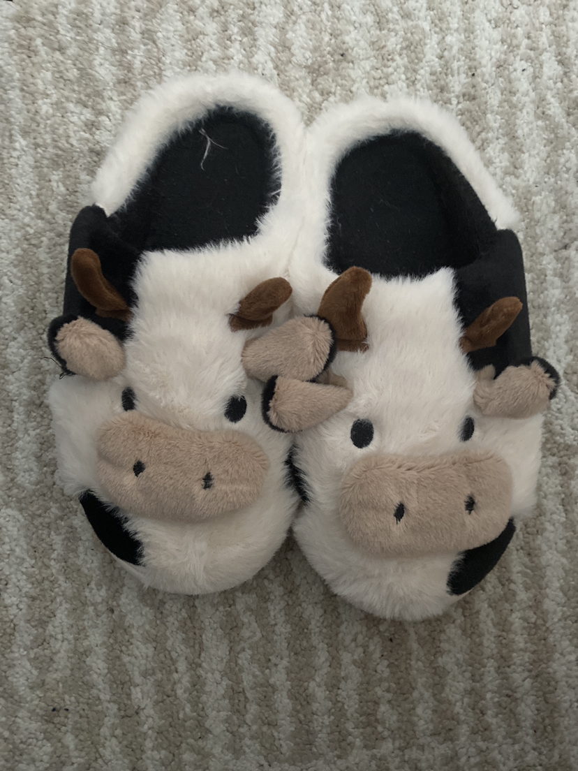 #freecycle slippers
